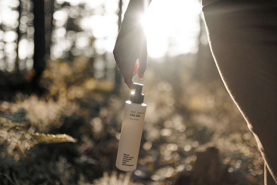 zallinger seiser alm